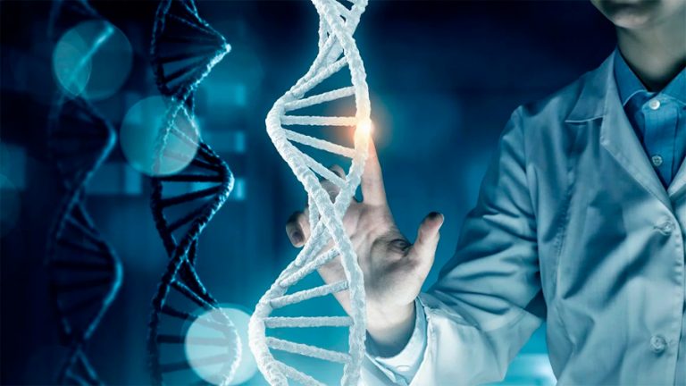 Conociendo cómo se producen las lesiones en el ADN y cómo se reparan